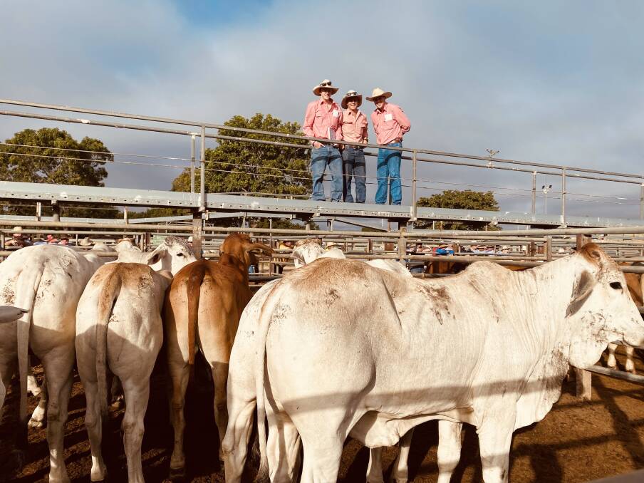 Elders Charters Towers livestock agents Jack Dougherty, Olly Peel and Peter Holt at the combined agents' store sale on August 5. Picture: Elders Charters Towers. 