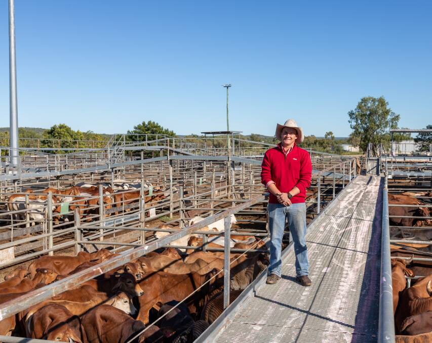 Elders Charters Towers livestock agent Olly Peel with Ravenshoe vendor Robert Austin store steers; who offloaded a total head of 126 mixed steers to top 528c/kg. Picture: Zoe Thomas. 