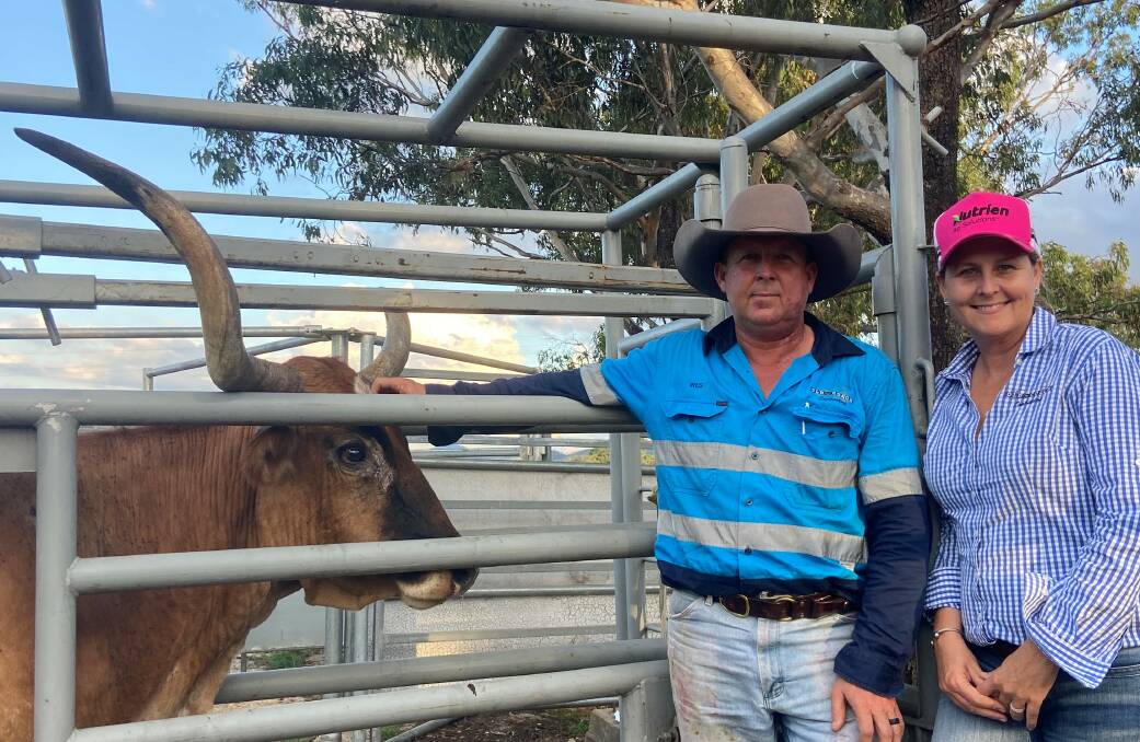 Wes and Hayley Offord own and operate Brigalow Texas Longhorn stud situated 45kms south of Rockhampton. Photo supplied. 