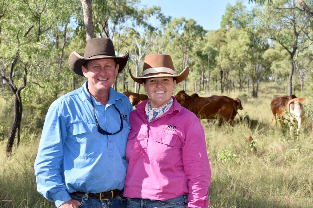Kirkland Downs producers Ian Collins and Stacey Kirkwood have successfully rehabilitated a once patch of degraded country on their property to productive finishing paddocks. Picture: NQ Dry Tropics. 