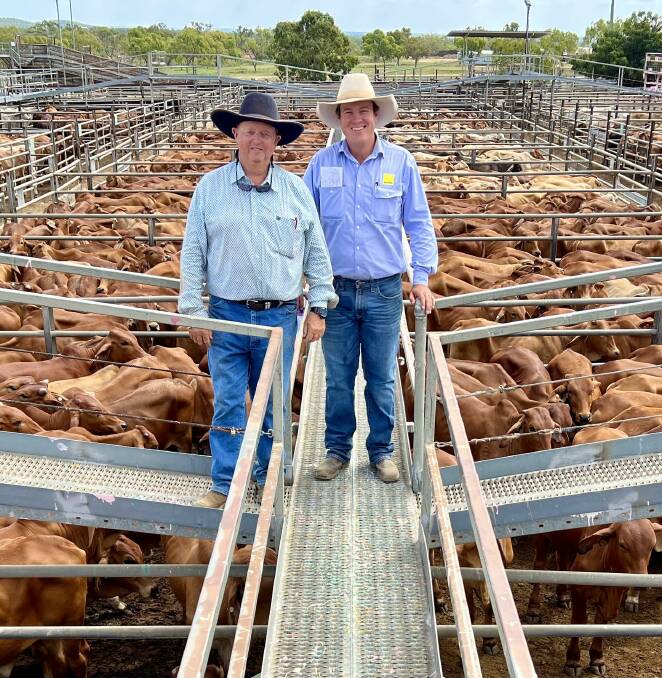 Darrol Crouch representing Morr Morr Pastoral Company, Delta Downs, Normanton with Ray White Geaney Kirkwood principal Liam Kirkwood. Morr Morr Pastoral Company offloaded 1126 Brahman steers to return an average of $1176/hd. Picture supplied by Ray White Geaney Kirkwood. 