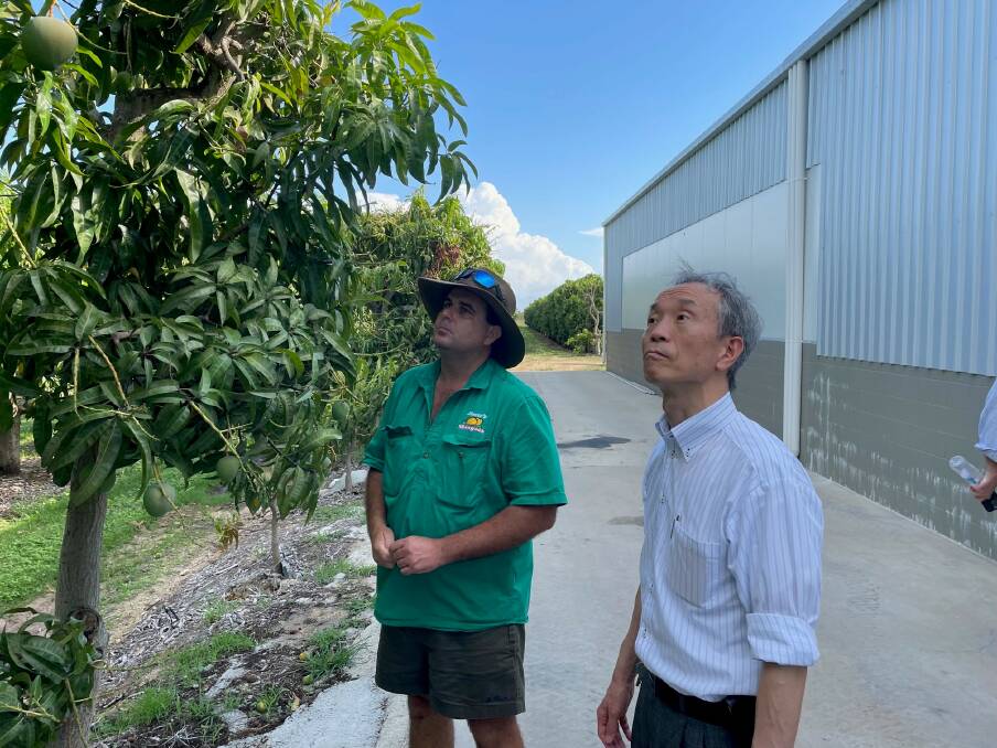 Ben Martin of Martos Mangoes with Japanese Consul-General Masuo Ono at Martos
Mangoes farm. Picture supplied by Bowen Gumlu Growers Association. 