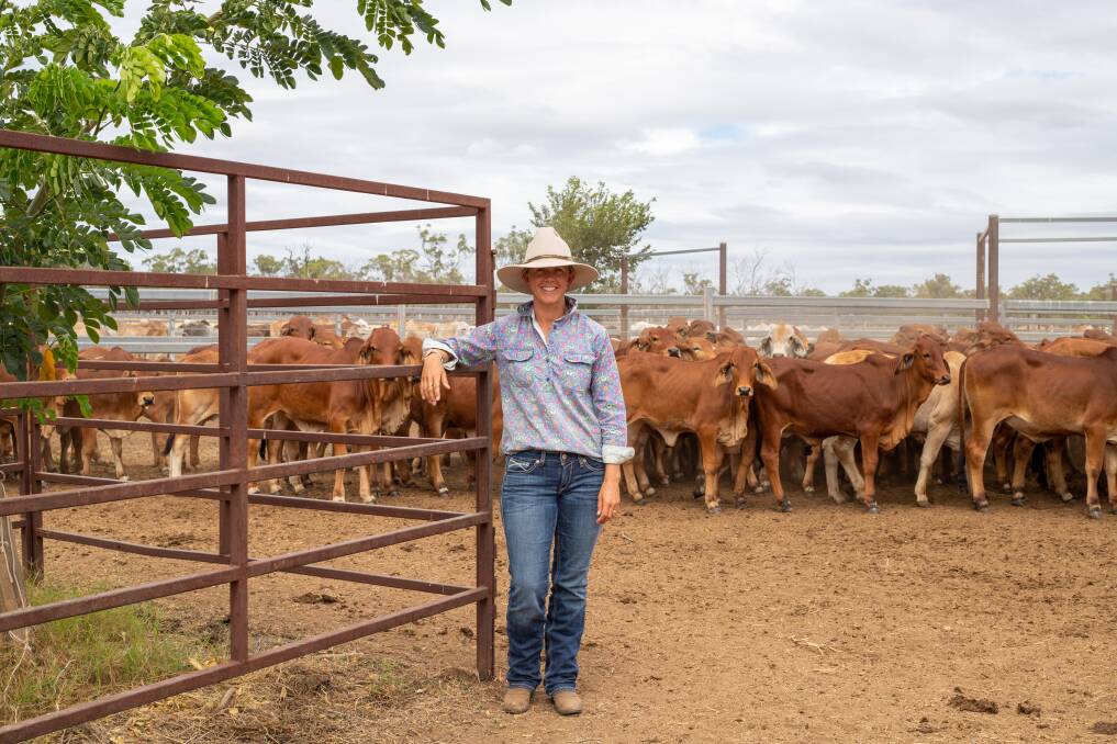 The Neilsen family own and operate a commercial cattle enterprise running 2500 head of Brahman cattle across their property. Photo: Zoe Thomas. 