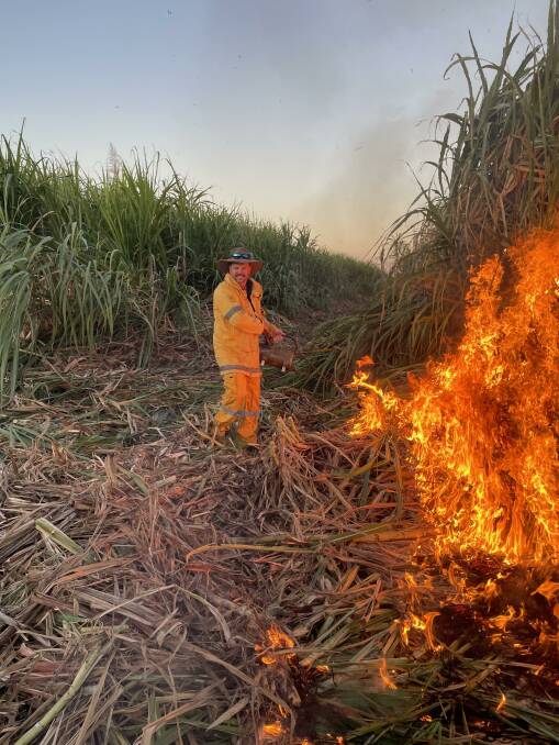 Mr Menkens said 30 million tonnes of cane was expected to be cut across the state. Picture: Owen Menkens