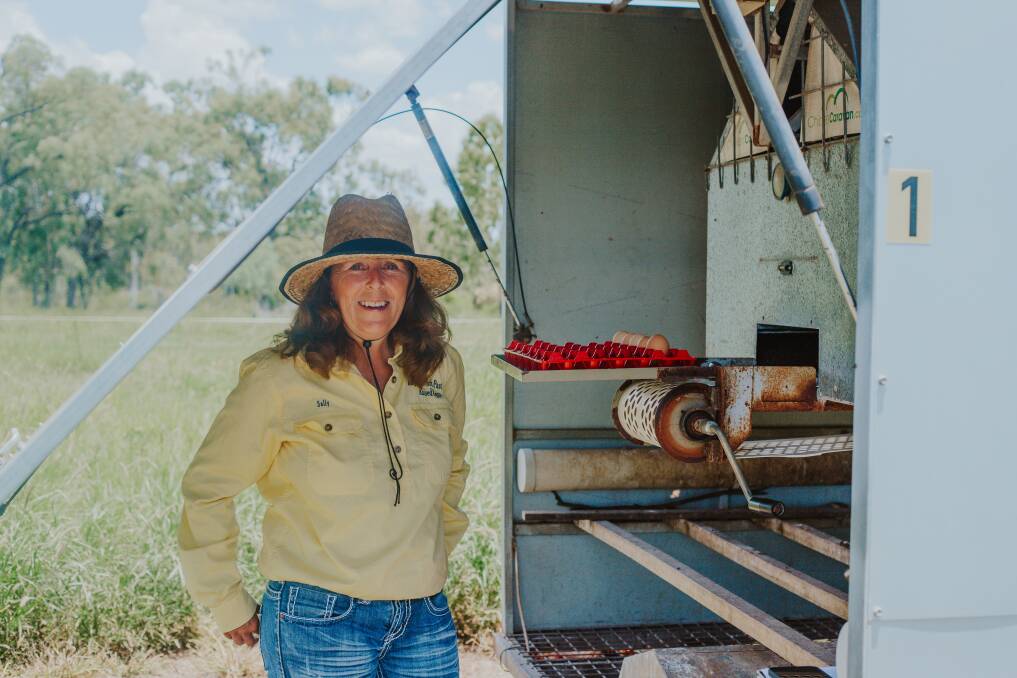 Sally Curley of Royston Park Pasture Raised Eggs in Charters Towers. Photo credit: Zoe Thomas. 