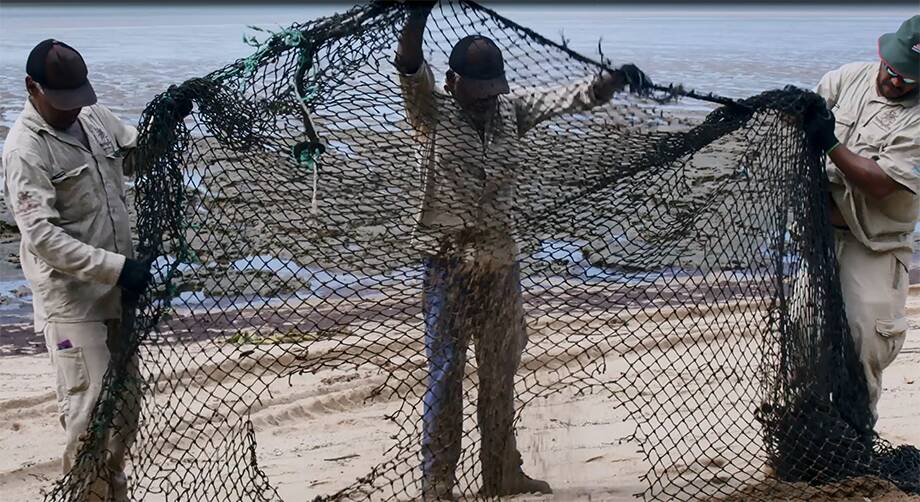Yidinji rangers taking part in filming for ghost net and marine debris training. Picture: Department of Agriculture, Water and the Environment. 