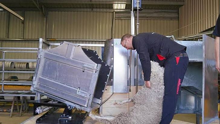 Shearer Josh Sneath with the prototype of the unit, showing how the sheep has been delivered directly to him, ready to start shearing. .