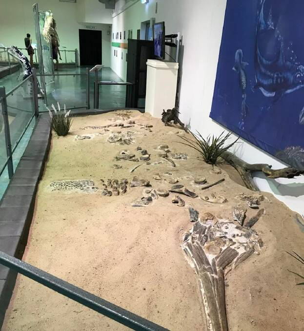 The "Bag of Bones" were on display in mostly the same position as they were found. Picture supplied.