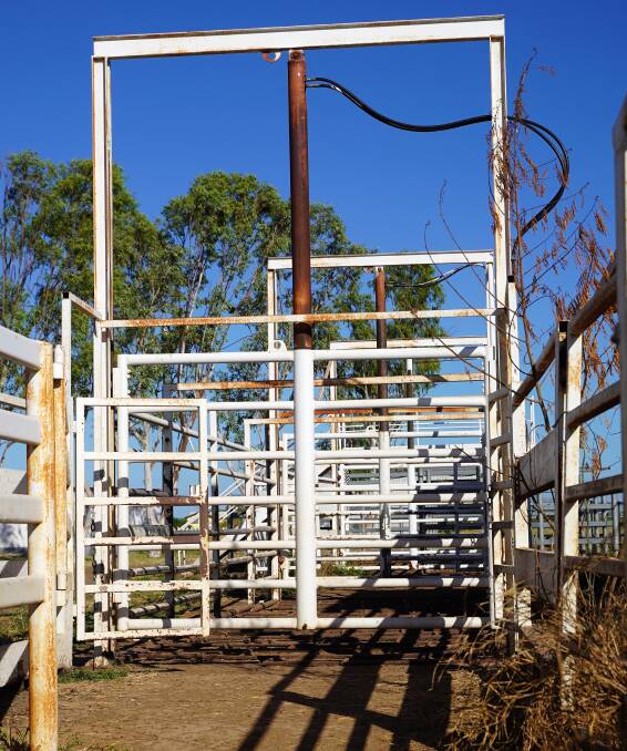 Cloncurry Shire Council will replace the weighbridge at the saleyards to improve efficiency. Picture supplied.