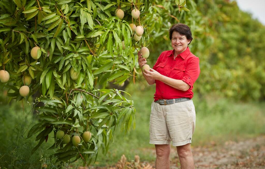 Marie Piccone attributes Manbulloos growth and success over the past 14 years to the passion and dedication of her team, which boasts world-class knowledge, training and experience in mango growing, harvesting, export and supply chain management. Picture: Manbulloo Ltd.