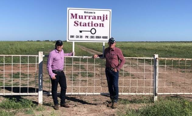 Queensland's Bunderra Cattle Company's Duane and Kevin Pickersgill at Murranji Station. 