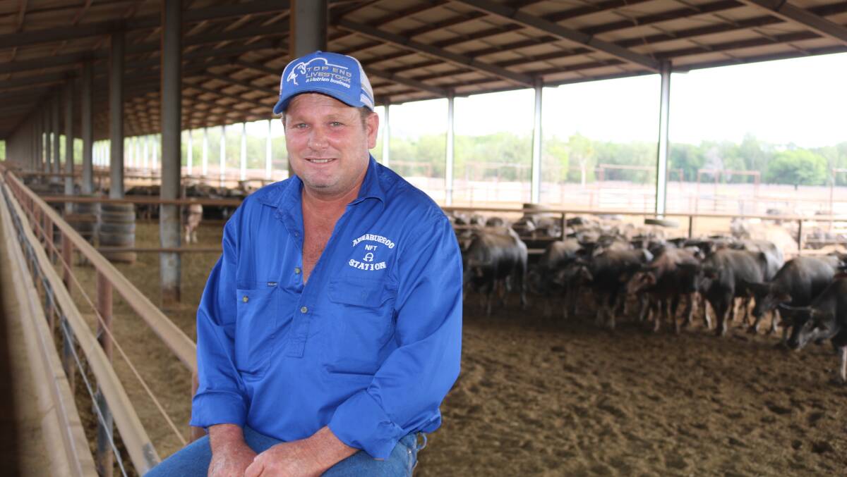 NT Buffalo Industry Council president Adrian Phillips.