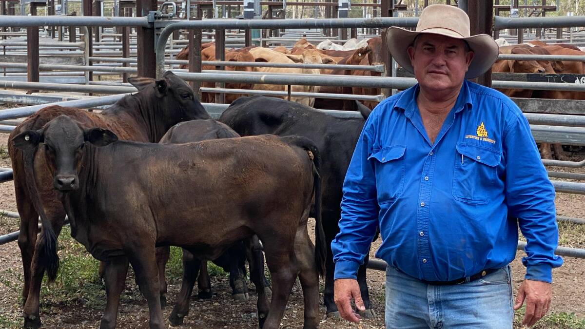 Brain Dawson From Brian Dawson auctions with a pen of Brangus weaner heifers on account of B and J Symonds, Nebo, that sold for 168ckg weighing 266kg to return $448. Picture supplied 