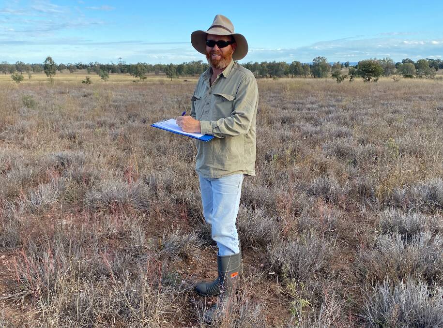 Principal pasture agronomist Stuart Buck in die-back affected pasture. Pictures supplied by the Queensland Department of Agriculture and Fisheries