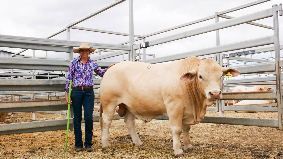 Cherie Gooding, Marlegoo Family Trust, Biloela with her second top price bull. Picture by Ellouise Bailey 