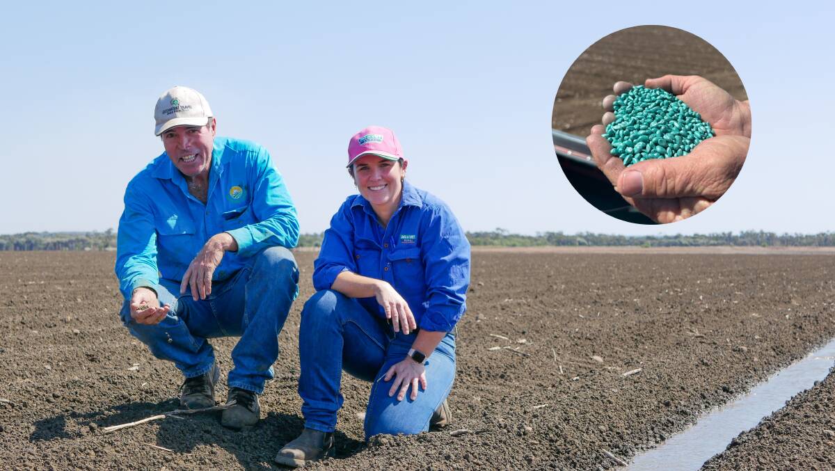 Emerald cotton grower Graham Volck with Agnvet Rural agronomist Ellie Amory, who works on the Volck family's farm. Pictured top right is the new XtendFlex cotton seed that was planted over 64 hectares of the property on Tuesday, August 22. Picture by Ellouise Bailey and supplied