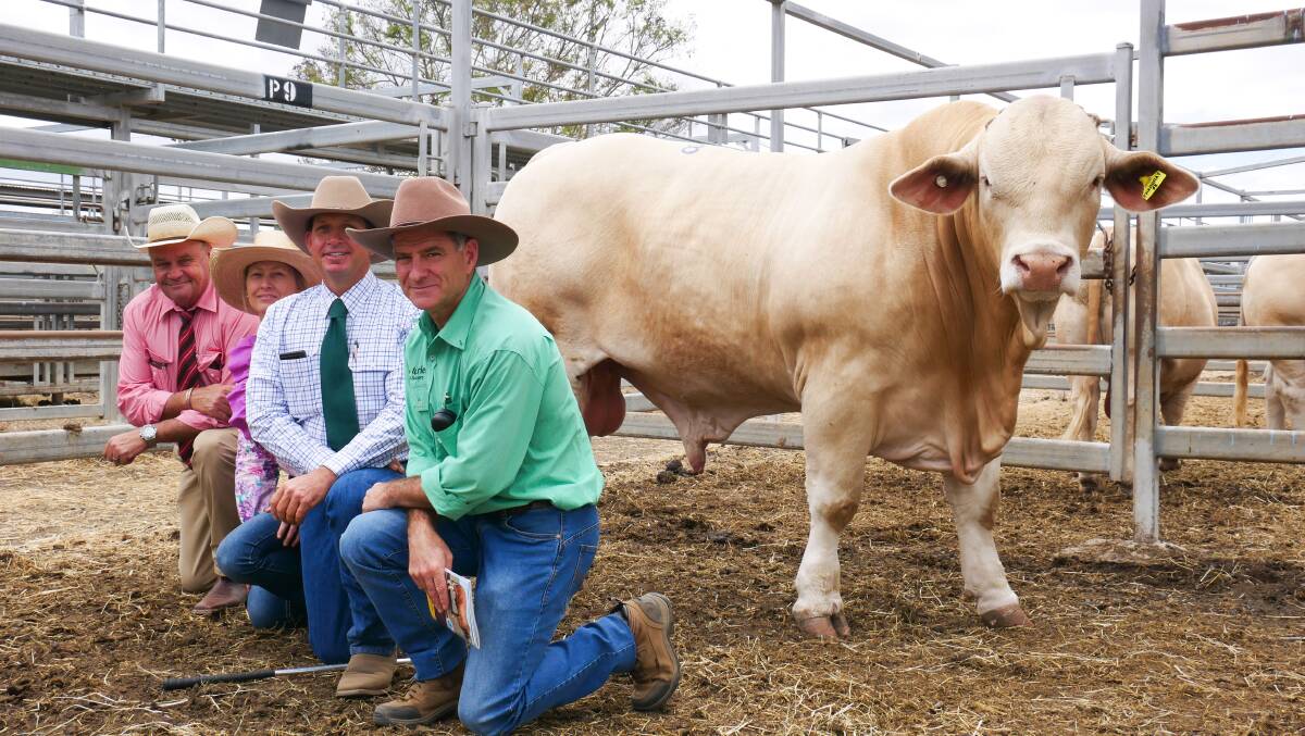 Elders selling agent Randall Spann, vendors Lolita and Trevor Ford of Wattlebray Charbrays, and Nutrien Rockhampton studstock agent Mark Scown on behalf of client Andrew Hacon of Hacon Enterprises, Cloncurry, with the top price bull Wattlebray Starlight, Picture by Ellouise Bailey 