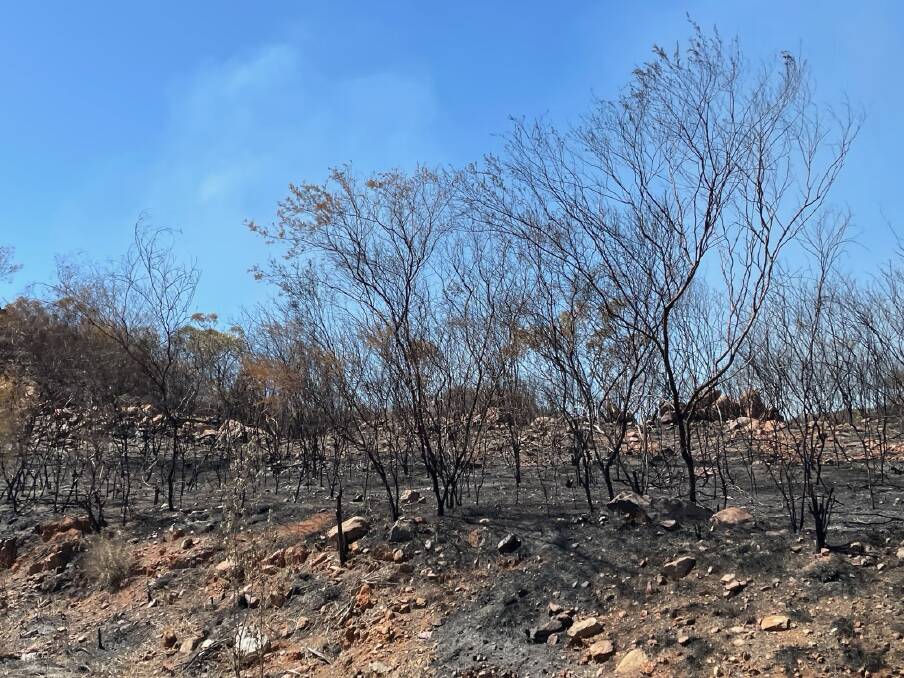 Grazing land burnt near East Leichhardt appears to have been started by lightning. Picture: Samantha Campbell