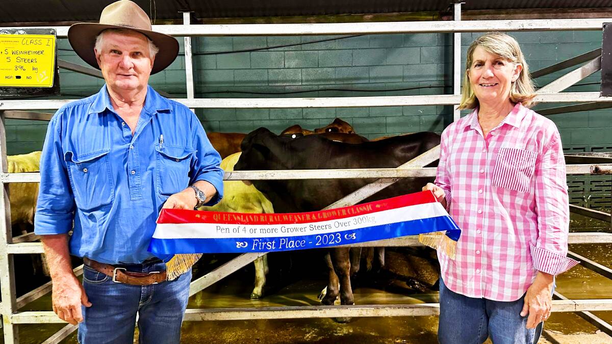 At the Innisfail store sale, a pen of five Droughtmaster steers on A/c from Neil and Sharon Weinheimer Class 1 for a pen of Grower Steers over 300kg Picture: Supplied
