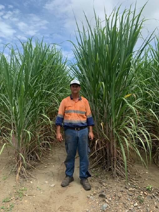 Hoping for the best, Mossman sugarcane grower Scott Fasano said his 600ha farm is part of an industry which generated $180M in 2023. Picture: Supplied 