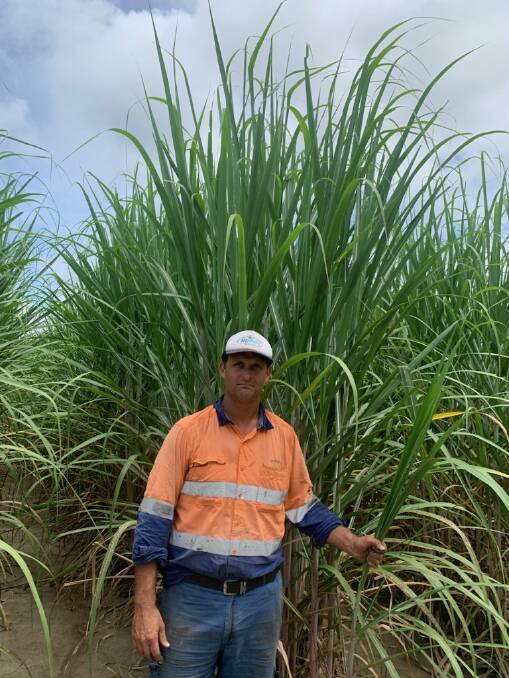 Canegrower Scott Fasano said he was "beyond stressed" as the future of the Daintree Bio Precinct hung in the balance. Picture: Supplied. 