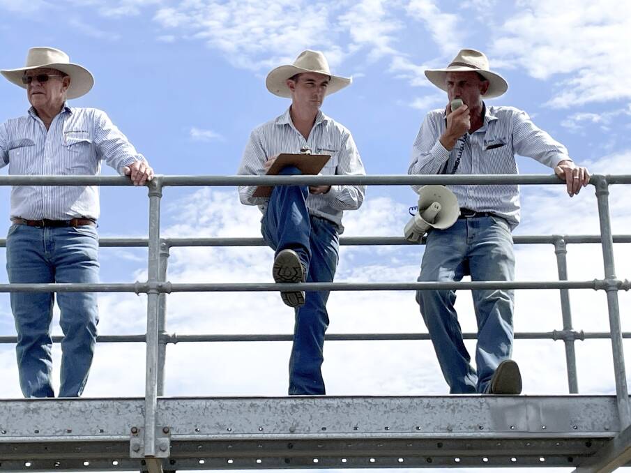 Bartholomew & Co principal Roy Bartholomew (far left) watches the crowd as stock agent Rhys Bodey records bids and auctioneer and stock agent Garth Weatherall (far right) direct the action at a weaner sale in Beaudesert on March 16. Picture: Alison Paterson