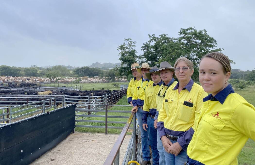 The Dalrymple Saleyards has broken a record with a mammoth 40,000 head of cattle for export in March. Picture: Charters Towers Regional Council