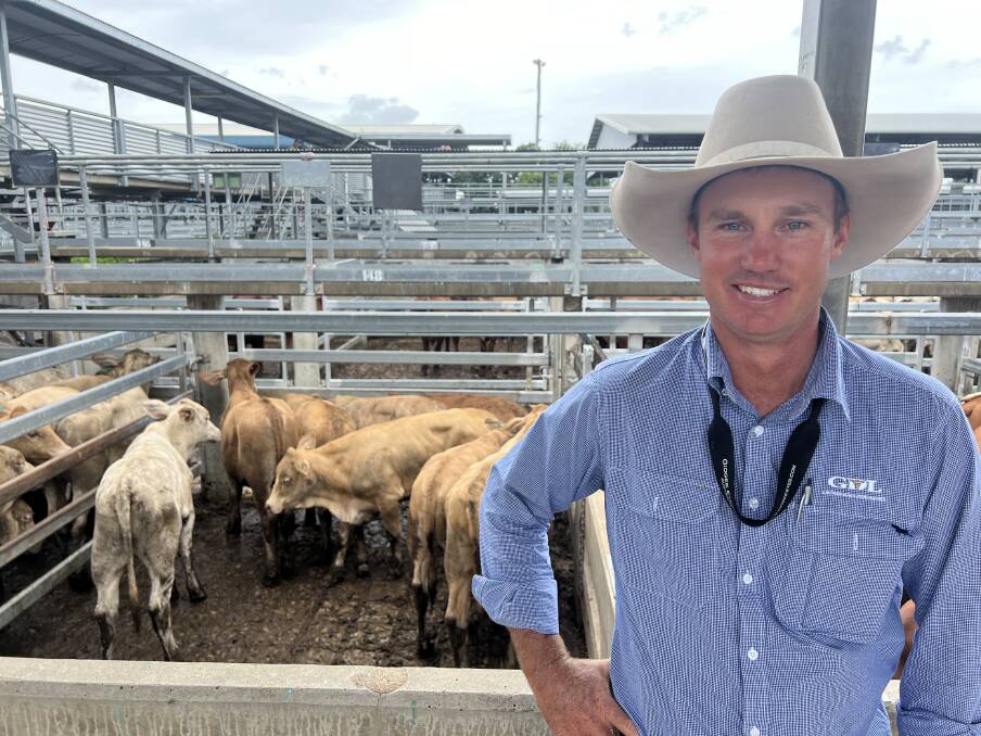 Will Hogan from GDL with a pen of Charbray steers offered by vendor Farlane Park Grazing Co from Middlemount, sold for 414.2c/kg, averaging 247.50kg and returning $1025.15/head. Picture: CQLX 
