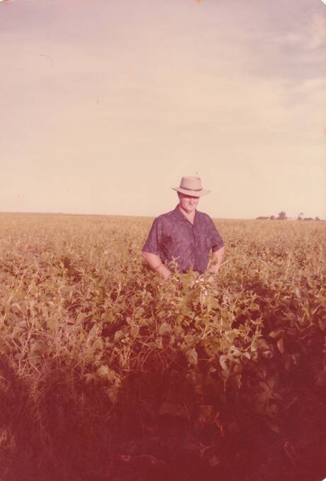 Herb Robke with his crop of pea at Te Kowai in 1984. Picture: Supplied by Lorelle Flynn