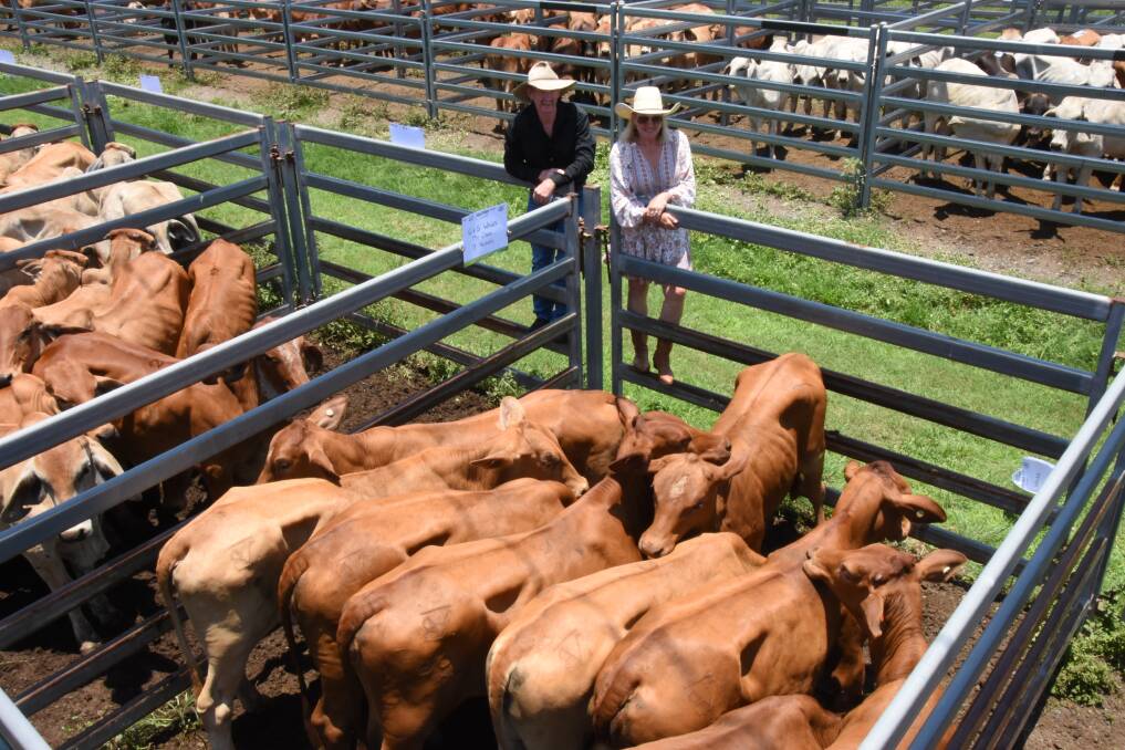 Michael and Dianne Munt from Calen were top buyers at the sale, taking home this pen of nine heifers for $890. Picture: Steph Allen
