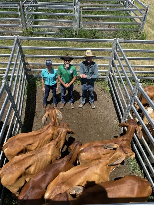 A pen of red Brahman steers from Robke & McDermont went for $700 to Mackay Christian College. (Left to right) Myf Hudson, an MCC cattle show team student, MCC teacher Emitt Brown, and vendor David Robke. Picture: Contributed 
