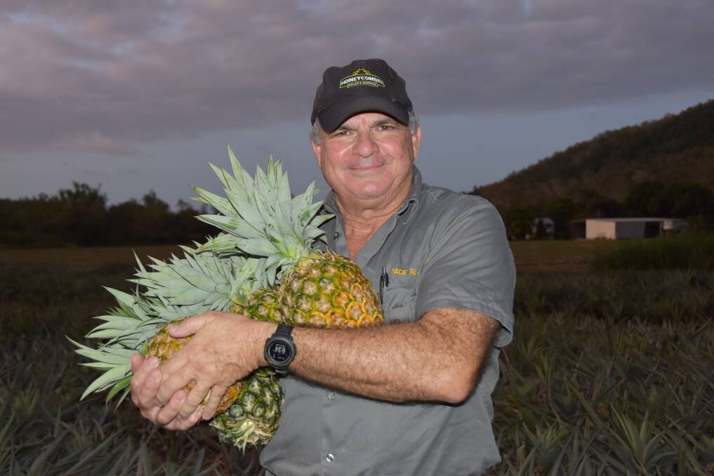 Stephen Pace is a third generation pineapple farmer who runs his family farm at Rollingstone and supplies 100 per cent fresh fruit. Picture: Steph Allen