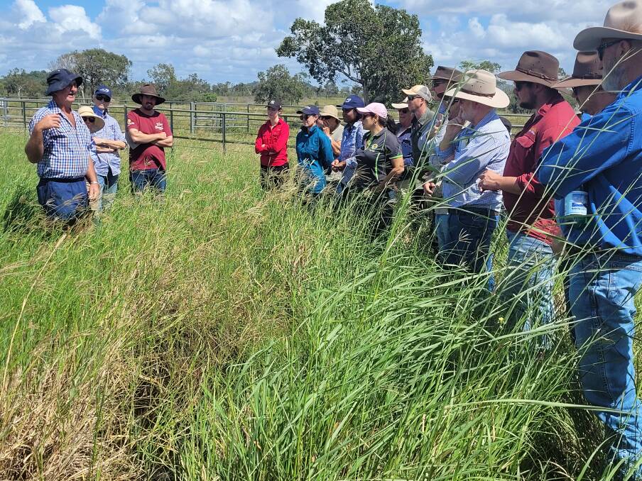 A previous Reef Catchments annual innovative grazing forum. Picture: TNQ Drought Hub