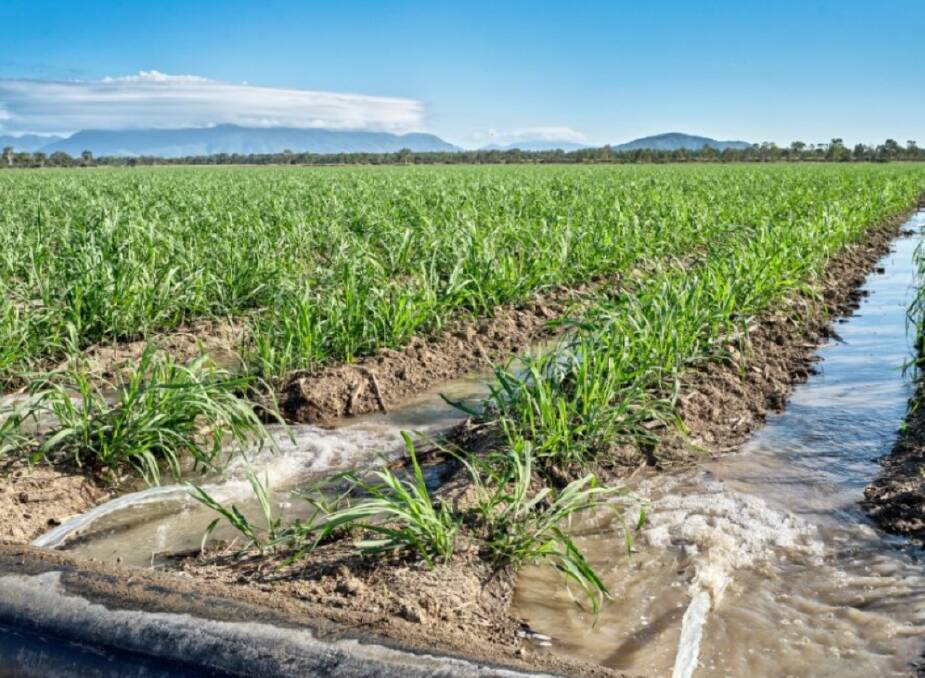 Automation has reduced water applied by one-third in the first year of the trial. There has also been a significant reduction in nitrate runoff and losses to groundwater. Picture: Wilmar Sugar Australia Limited