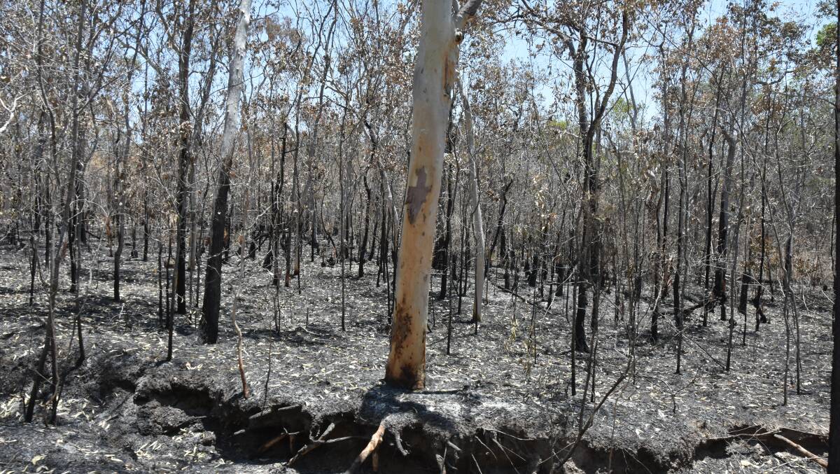 Some of the devastation caused by last week's fires at Cone Creek. Picture: Steph Allen