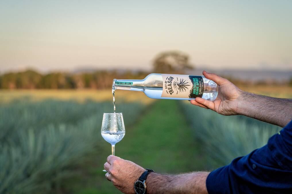 A new agave spirit is already gaining the attention from judges in the spirit industry, after a trial of the product received awards mid-2023. Picture: Top Shelf Distillery