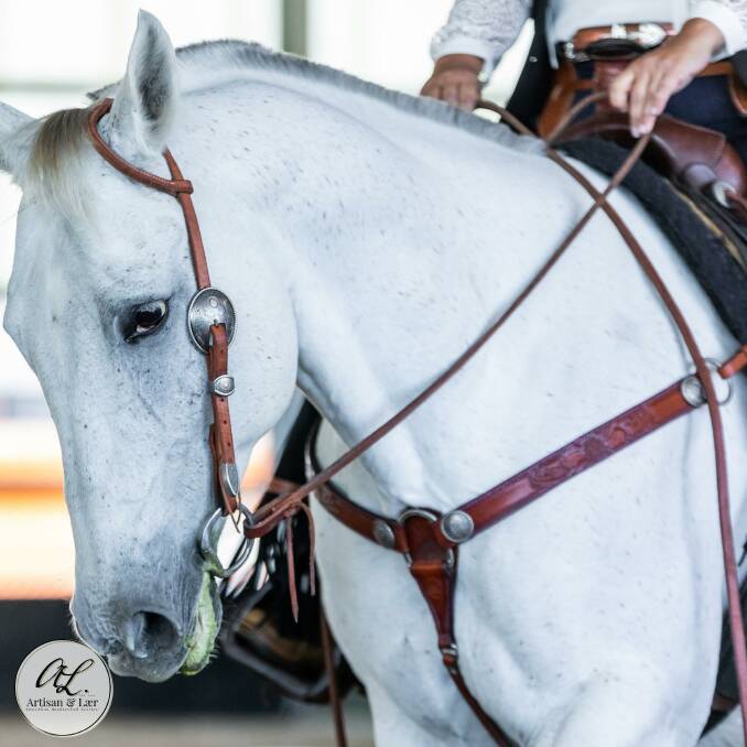 Kylie Chapman owns six horses, and creates saddlery as part of her business, Artisan and Laer. Picture: Kylie Chapman