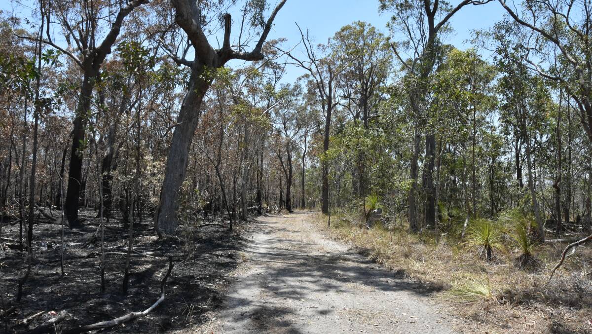Vegetation was moved to the right of the track as back burning efforts lasted into the night. Picture: Steph Allen