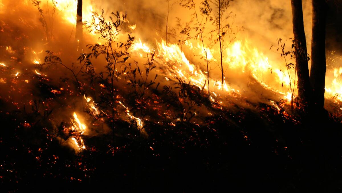 North Queenslanders impacted by bush fires will be able to apply for much-needed financial assistance. Picture: Shutterstock