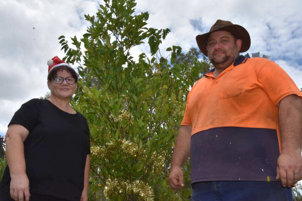 Rebecca and Daniel Berger are surprised to see mandarins popping up in place of traditional Christmas produce this year. Picture: Steph Allen