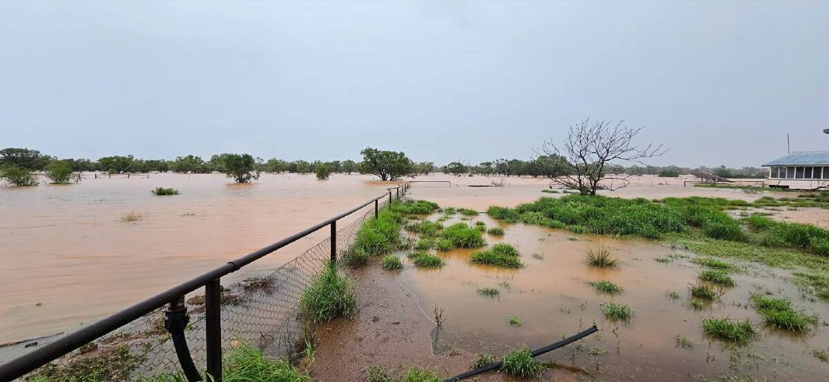 Grazier Anita Salmon has recorded 520mm at her Middleton property since January 26. Picture: Anita Salmon