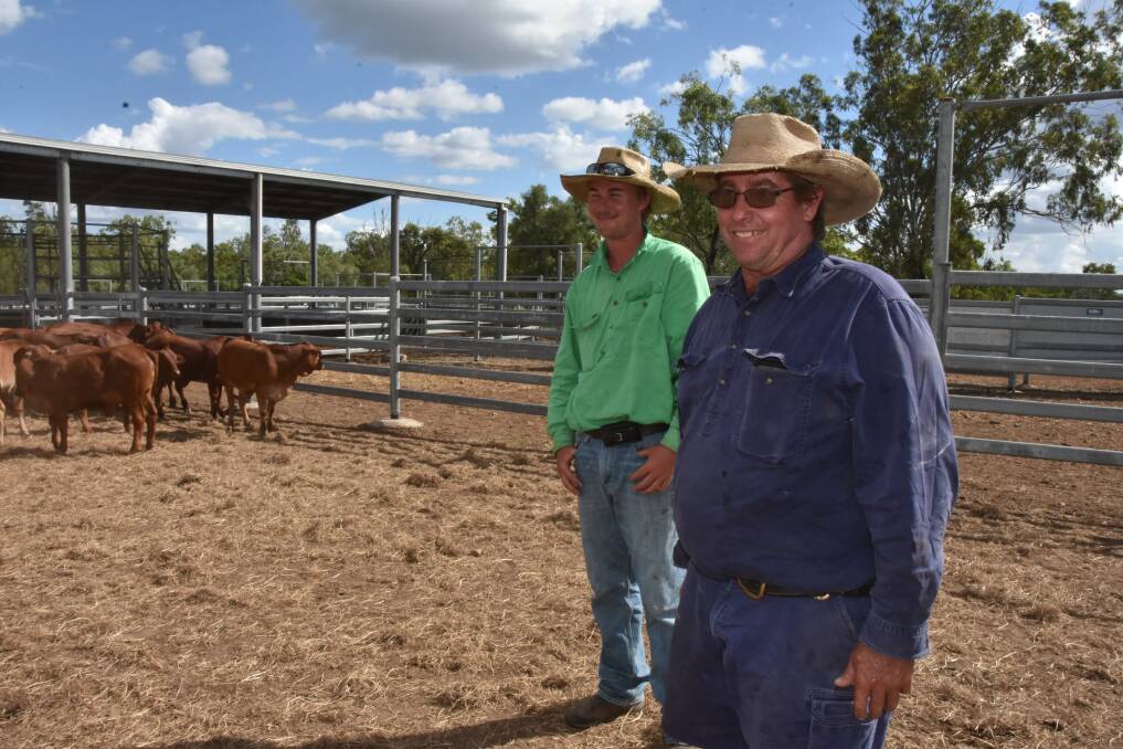 Brett and Griff Symonds recently sold a pen of 60 cows for $1279.92/head to Bakers Creek buyers Thomas Borthwick and Sons. Picture: Steph Allen