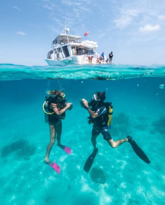 Guests can snorkel or dive at the Great Barrier Reef with Mission Beach Dive. Picture: Philvids/Cassowary Coast Tourism