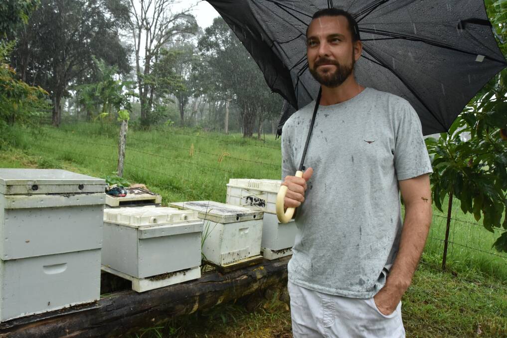 Doug Cannon is making progress after spending four years developing a species of varroa mite-resilient bees. Picture: Steph Allen