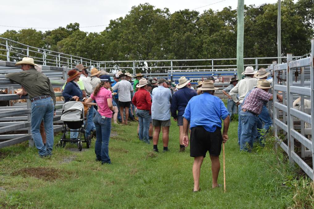 There was a solid turn out for the first Sarina sale of the year. Picture: Steph Allen