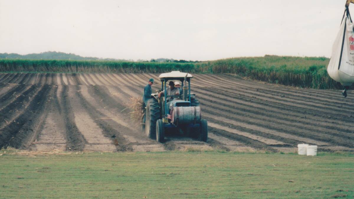 Herb stick planting with his nephews at Te Kowai in 2001. Picture: Supplied by Lorelle Flynn