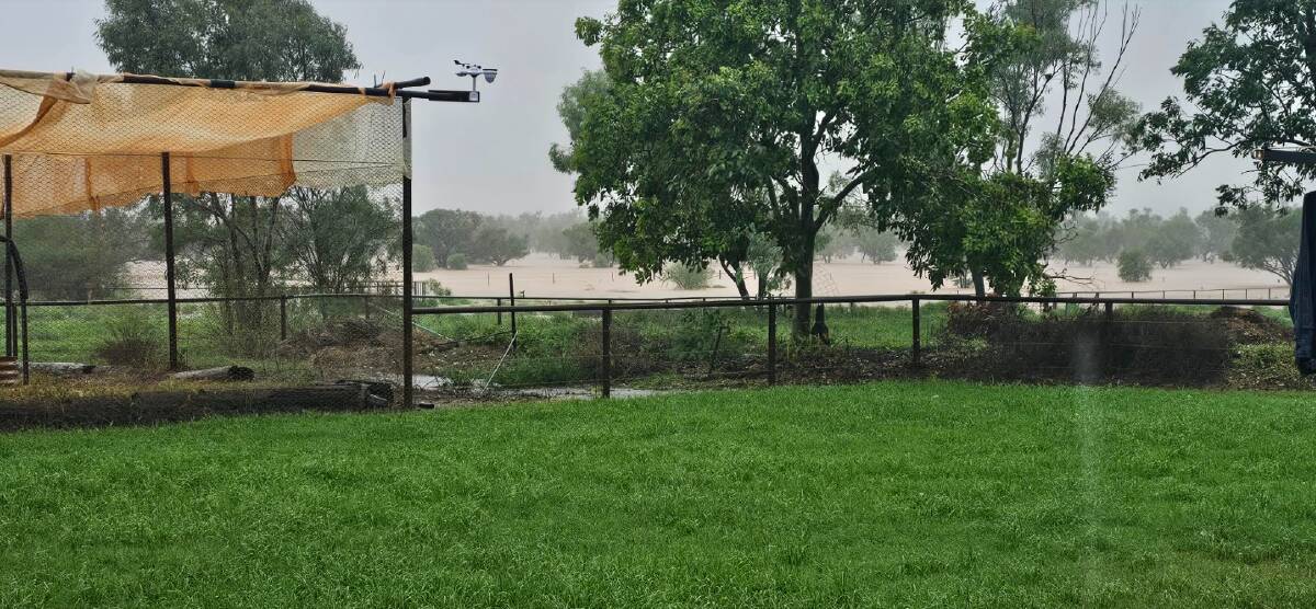 Anita Salmon has received with 100mm since Christmas leading up to last weekend. Picture: Anita Salmon