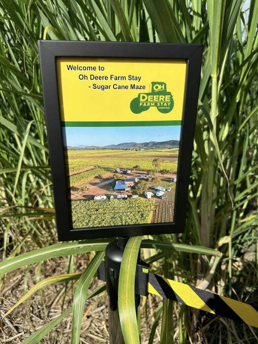 A new sugar cane maze has been opened in Calen. Picture: Oh Deere Farm Stay