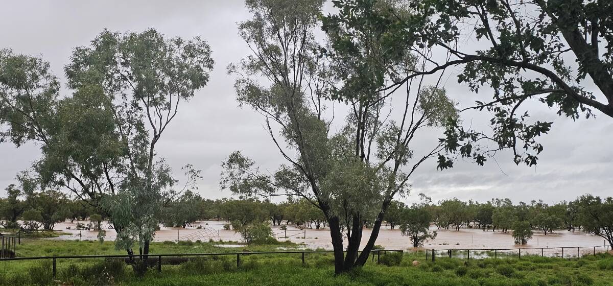 Anita Salmon says some of her cattle have been trapped downstream. Picture: Anita Salmon