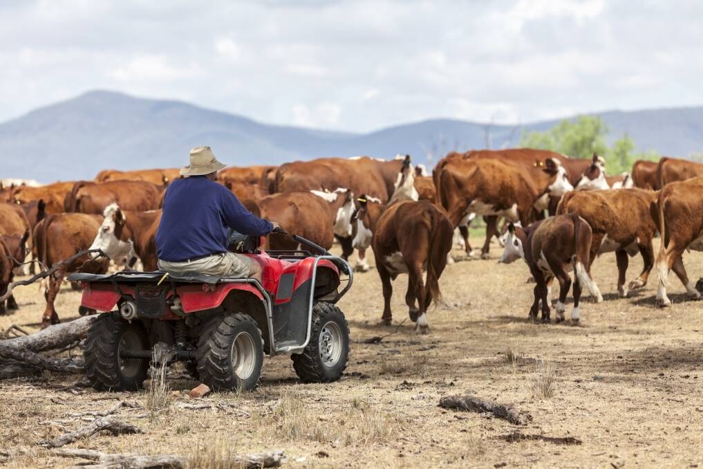Quad bike accidents are a major cause of on-farm deaths in North Queensland. 